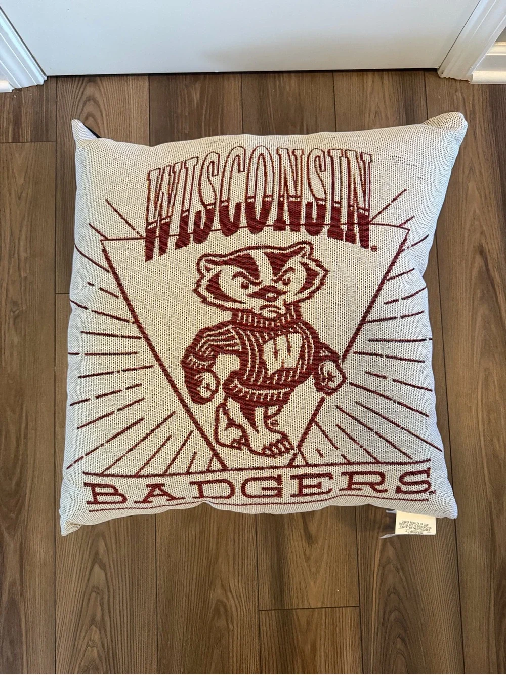 NWT Wisconsin Badgers Decorative Throw Pillow Set (2) Red on Cream
